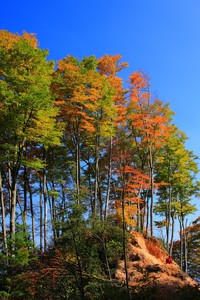 霍芬海姆客场击败对手，取得胜利