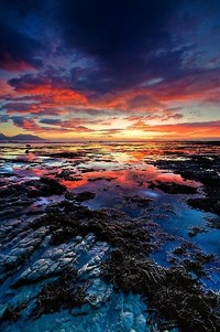 乌拉圭球队红星亮相，战场上力挽狂澜