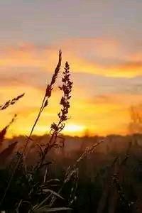 意大利三战全胜，晋级欧国联八强无悬念