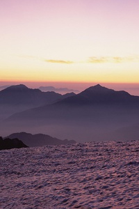 大局尽收女足团队，犹将刚海勇添声鸡
